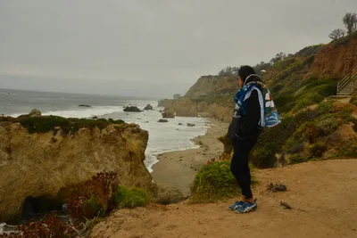 DSC_6548 (Large).JPG